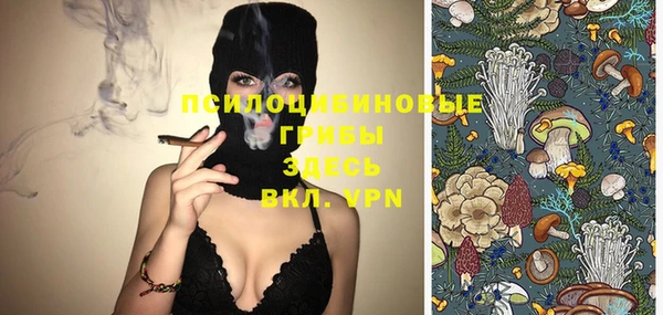 мяу мяу кристалл Ельня